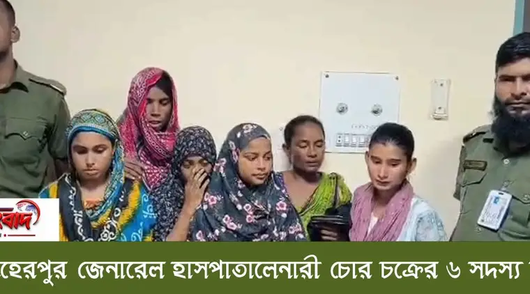 🚨 মেহেরপুর জেনারেল হাসপাতালেনারী চোর চক্রের ৬ সদস্য আটক
